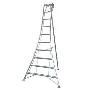 Driepuntladders Vultur